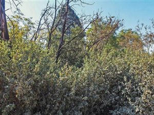 2 ha Land available in Kya Sands