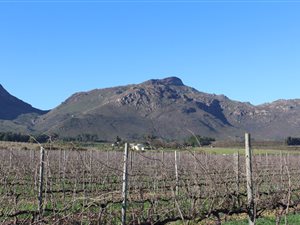36.9 ha Farm in Paarl