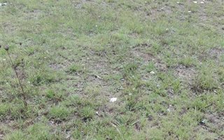 1487 m² Land available in Cedarville