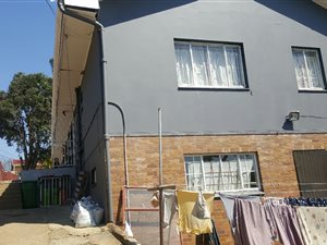 7 Bed House in Springfield Park