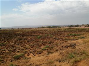 2114 m² Land available in Jameson Park