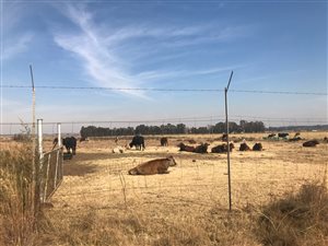 13.8 ha Farm in Henley on Klip