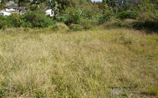 2626 m² Land available in Reservoir Hills