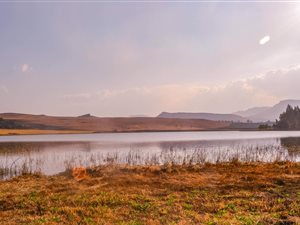 438 ha Farm in Himeville