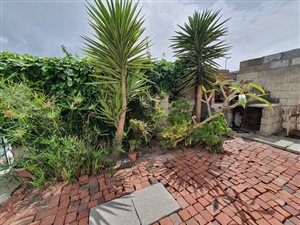 3 Bed House in Schaap Kraal