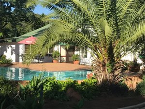 21.5 ha Farm in Tweefontein