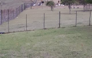 83 ha Farm in East London Central