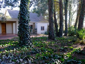 3 Bed House in Bryanston