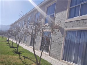 3 Bed Apartment in Newton
