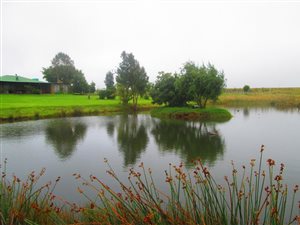 117.7 ha Farm in Dullstroom