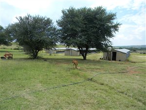 8.8 ha Farm in Lindequesdrif