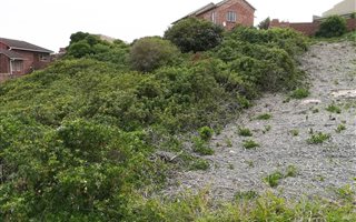 1003 m² Land available in Beachview