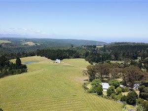 55 ha Farm in The Crags