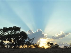 2006 m² Land available in Lekwena Wildlife Estate