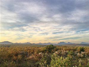 300 m² Land available in Gondwana Game Reserve