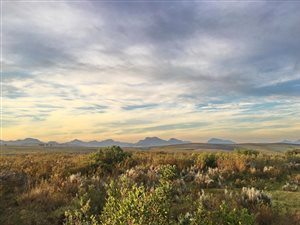 300 m² Land available in Gondwana Game Reserve
