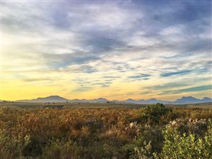 300 m² Land available in Gondwana Game Reserve