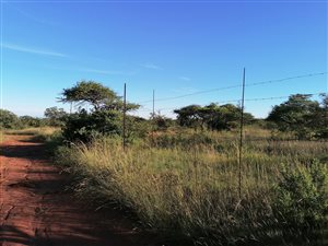 22 ha Farm in Tweefontein
