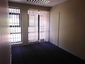 305 m² Office Space in Ferndale