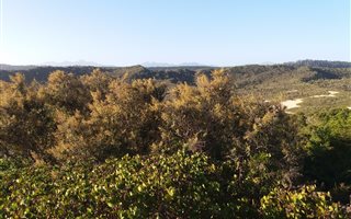 1102 m² Land available in Cola Beach