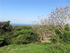 1100 m² Land available in Mtunzini