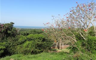 1100 m² Land available in Mtunzini
