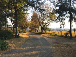 19 ha Farm in Lindley