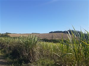 33 ha Farm in Ballito