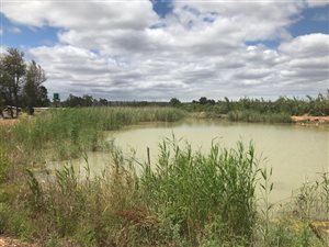 12.9 ha Farm in Addo