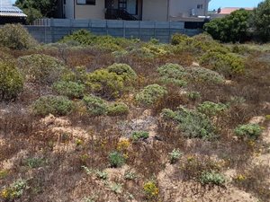 400 m² Land available in Lamberts Bay