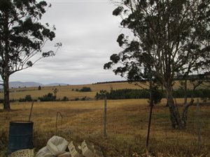 24 ha Farm in Vryheid