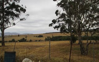 24 ha Farm in Vryheid