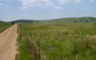 105 ha Farm in Sterkfontein and surrounds