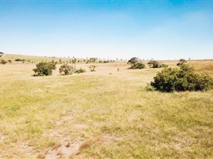 21.4 ha Land available in Muldersdrift