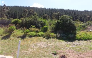 449 m² Land available in Sedgefield