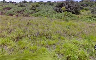 1.2 ha Land available in Desainagar