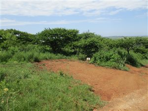 4496 m² Land available in Manderston