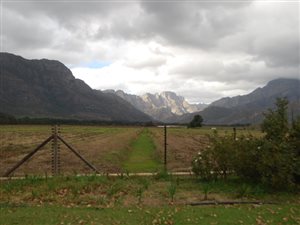 25 ha Farm in Wolseley