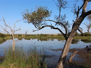 65 ha Farm in Empangeni