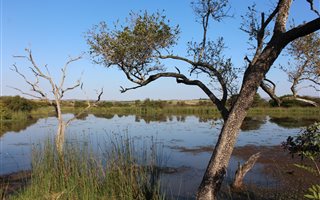 65 ha Farm in Empangeni
