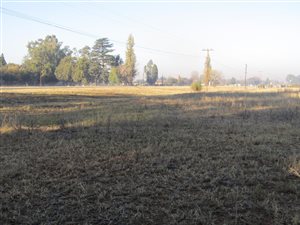 3.4 ha Land available in Buyscelia