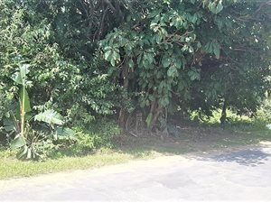 1495 m² Land available in Hibberdene