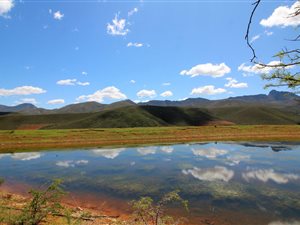 120 ha Farm in Herbertsdale