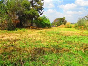 9148 m² Smallholding in North Riding