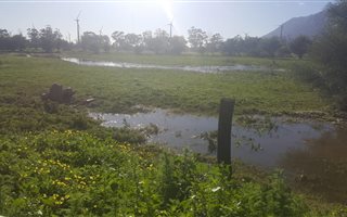 4456 m² Land available in Gouda