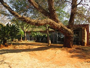 2 ha Farm in Walkerville
