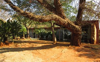 2 ha Farm in Walkerville