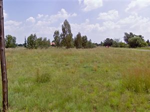 2.2 ha Land available in Ophir AH