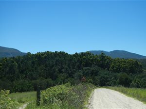 7 ha Land available in Hoekwil