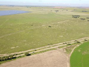 770 ha Farm in Dealesville